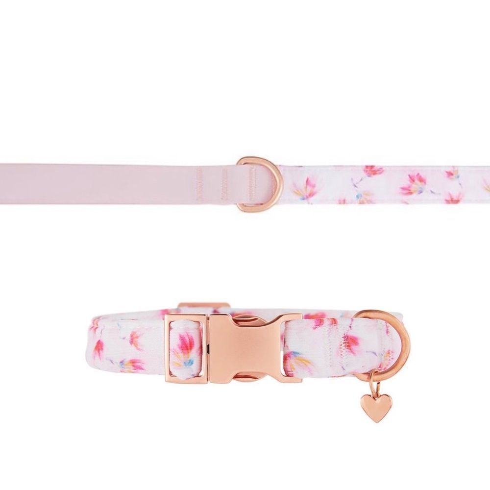 Top Paw Leash & Collar Set Pale Pink Floral Comfort Neoprene Dog Bundle NWT